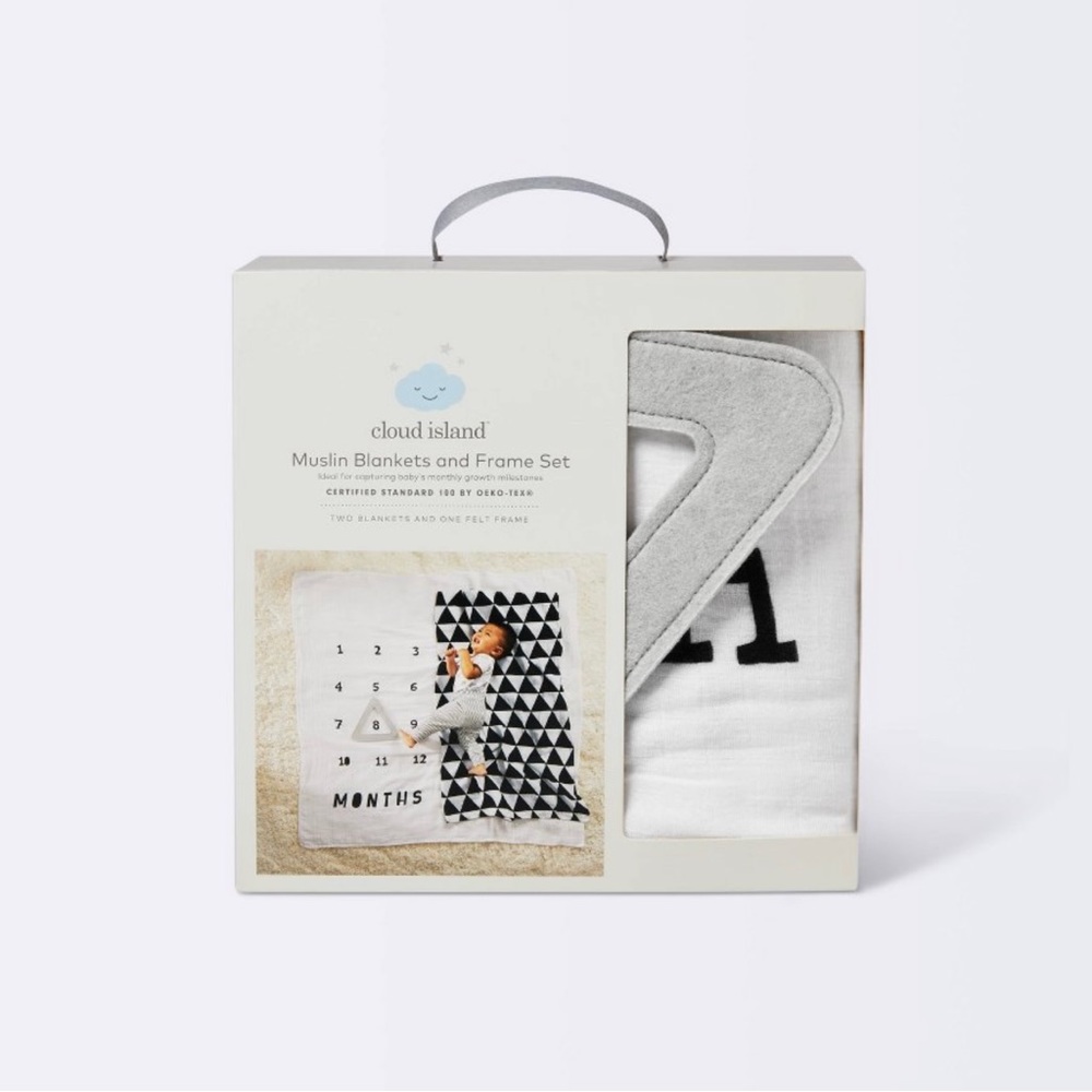infant monthly milestone photo prop